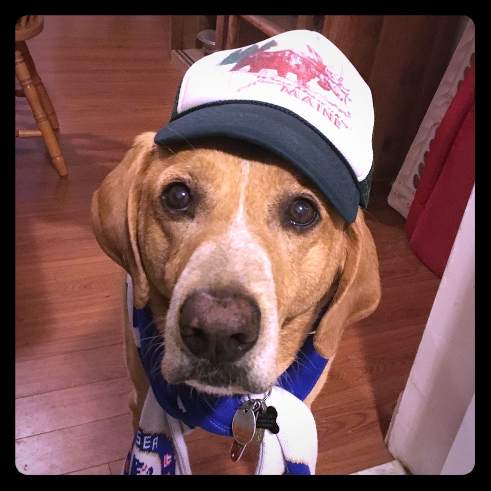 Bundle offers welcome!